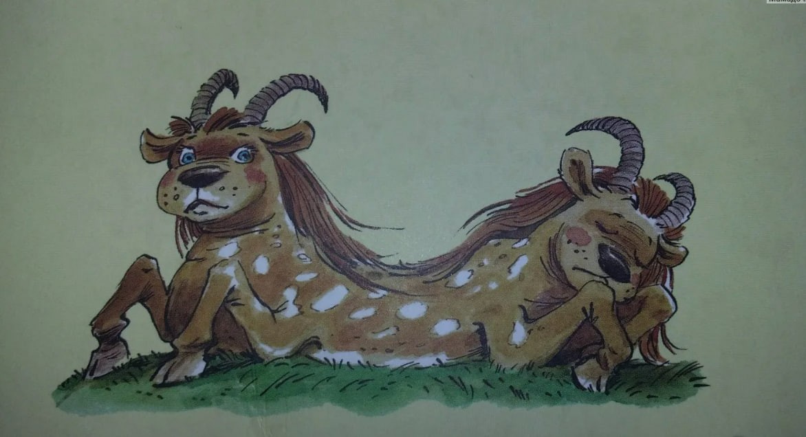 photo_2024-10-28_19-10-21